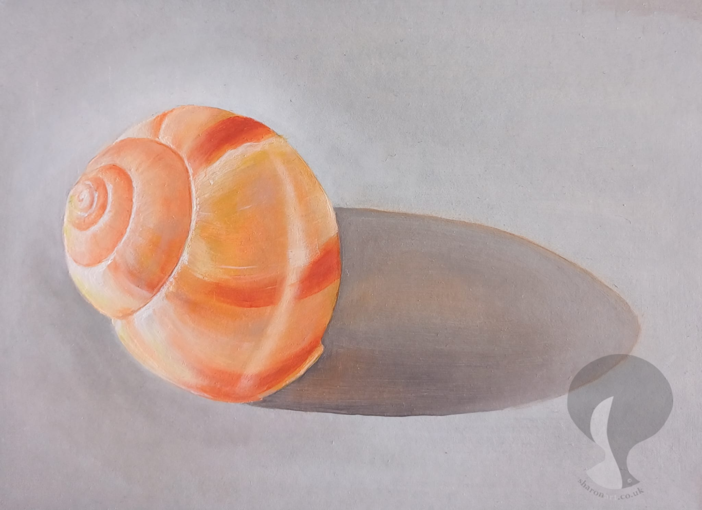 Shell-ter