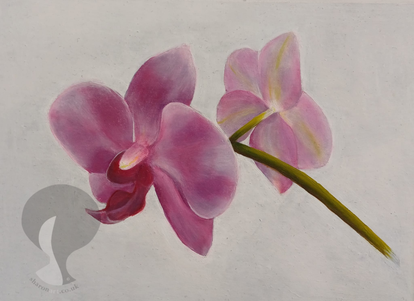 Pink Orchard