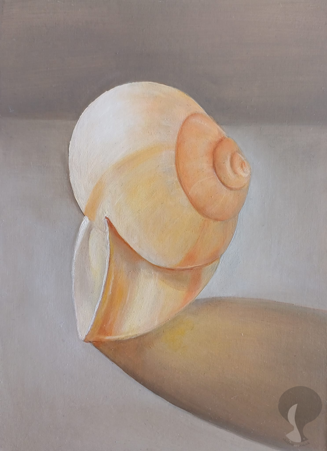 Shell On Edge